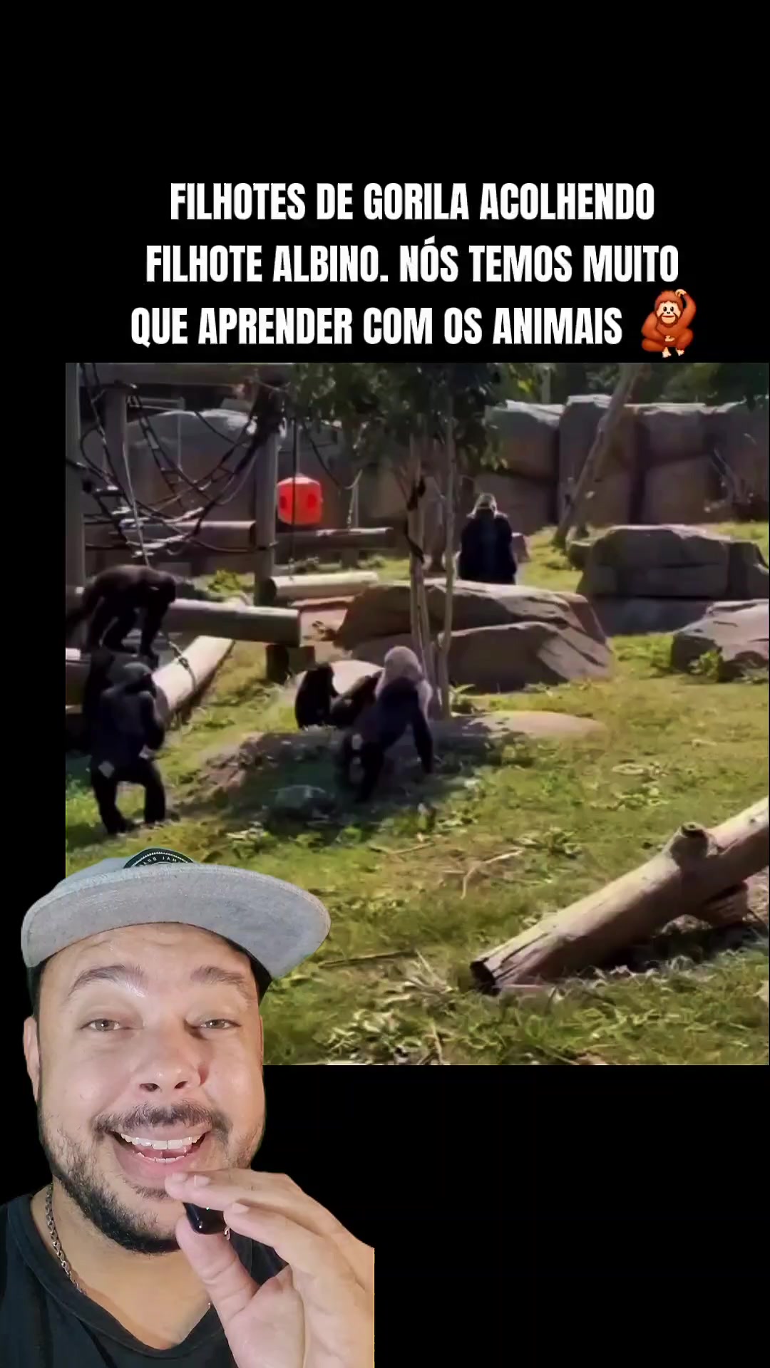 @Leandro Cotrim (123)