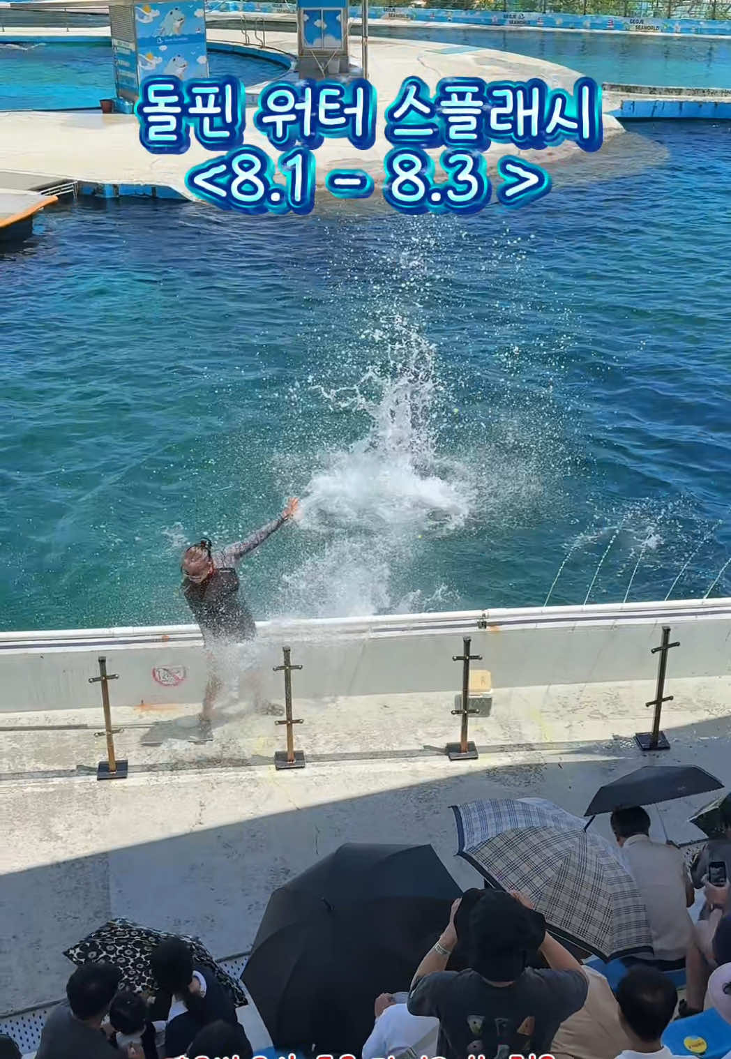 @DolphinTok