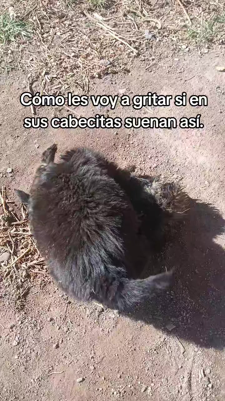 @😍quelindha😍