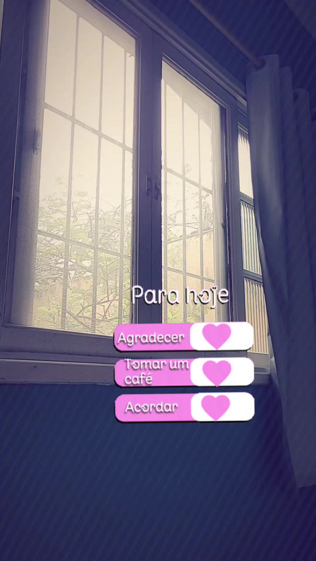 @cidarocha740