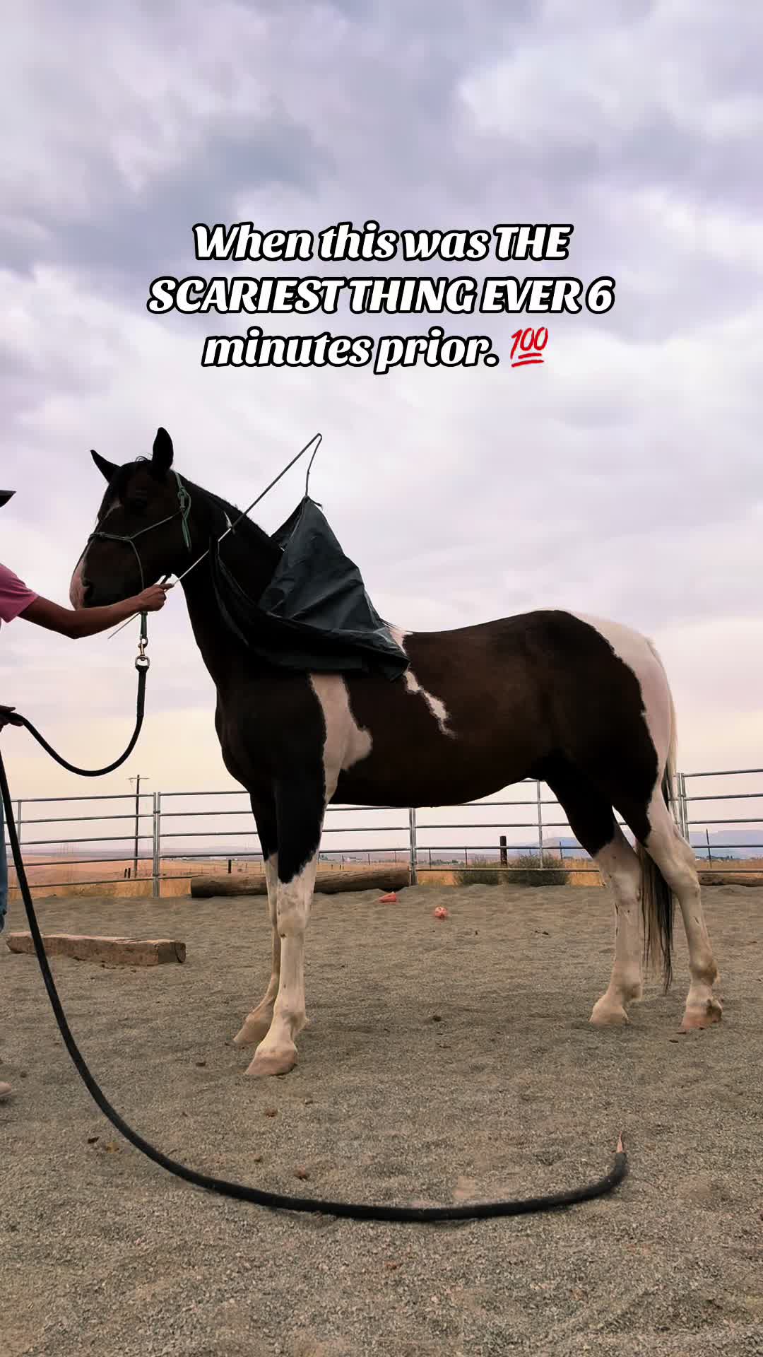 @Cowgirl Tuff Colt Training ❤️