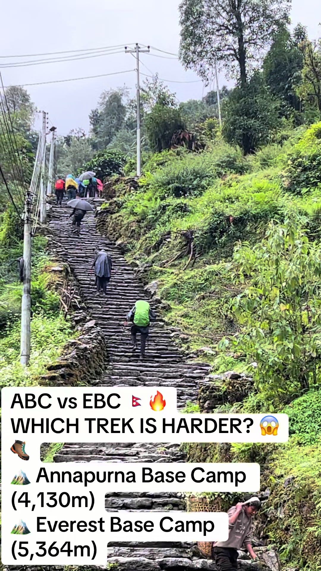 @Nepal Mountain Guides 🇳🇵