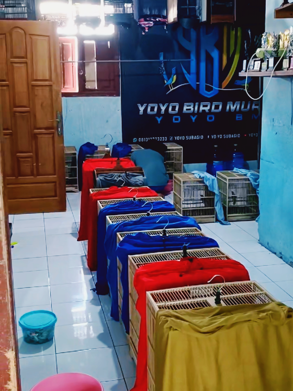 @YOYO SUBAGIO 2