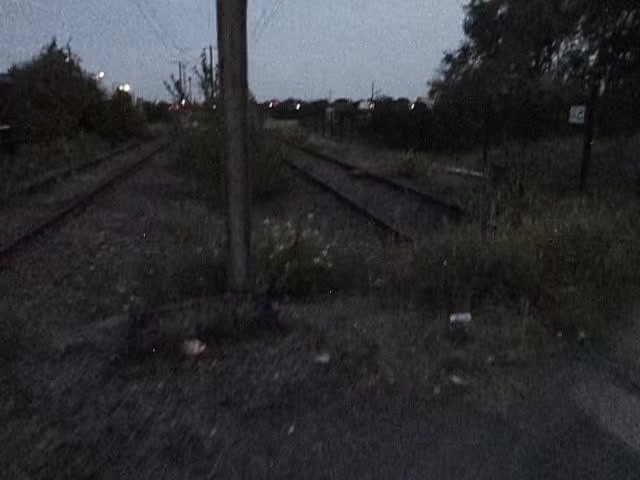 @ֶָ֢