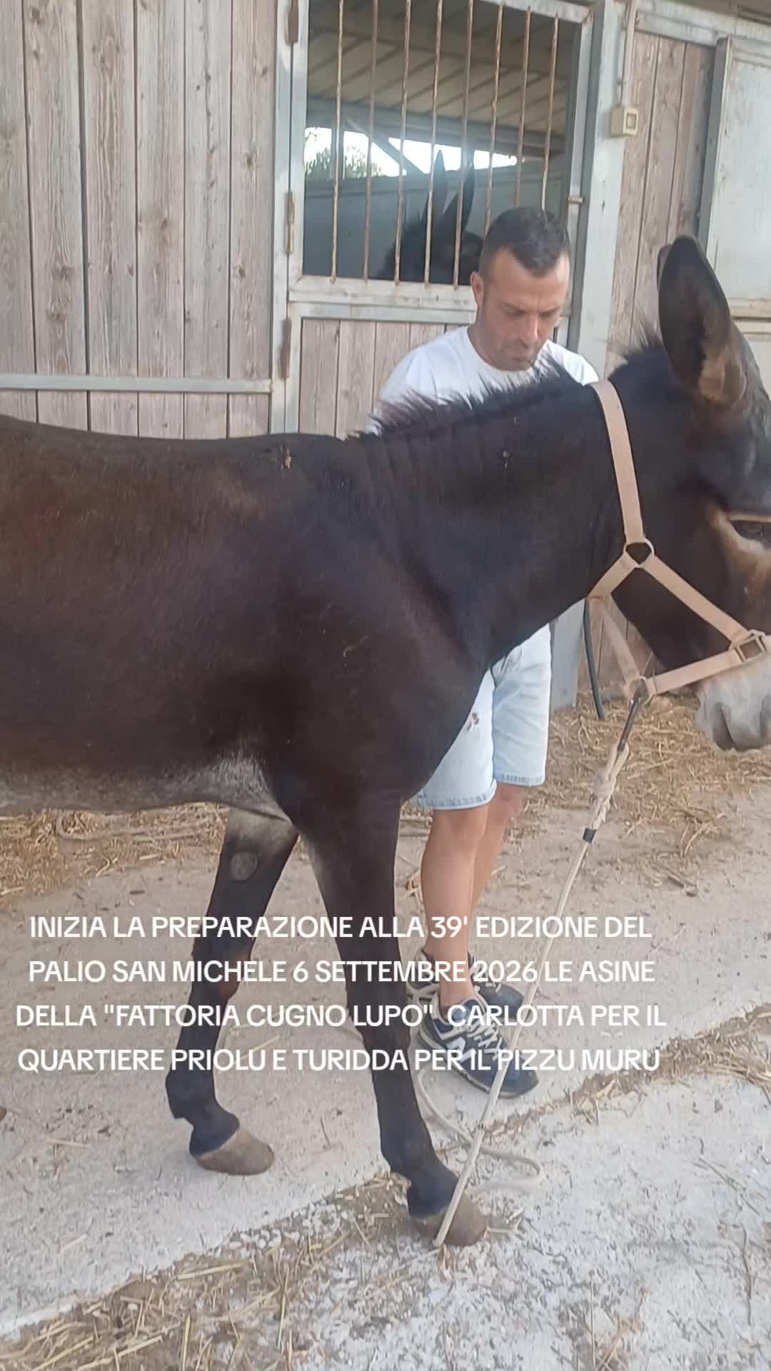 @ENZO CAVALIERI