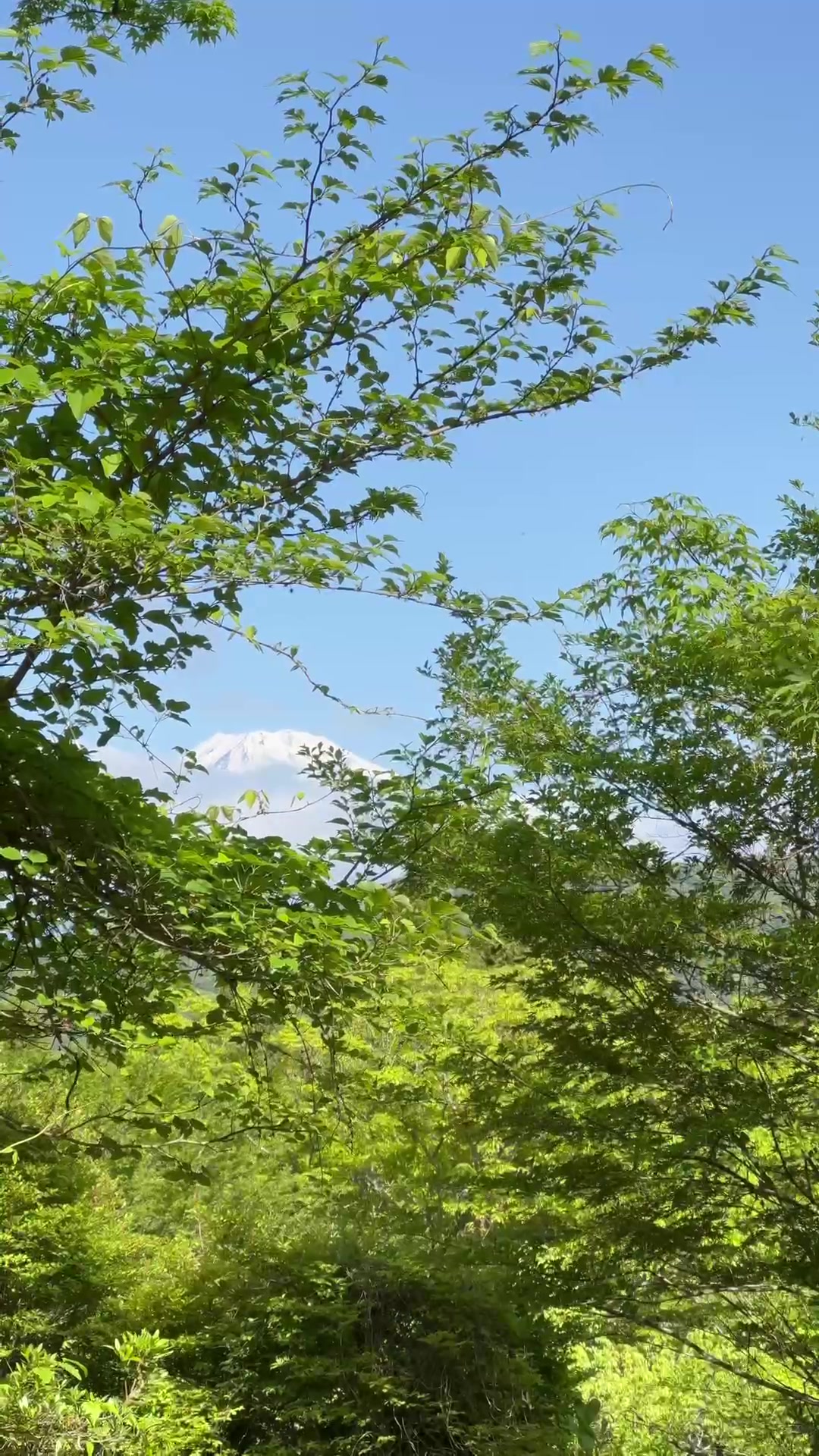 @japan.guidepal