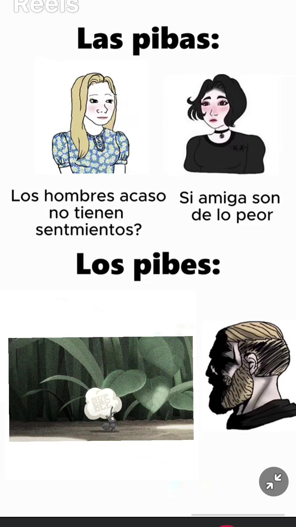 @ChikoM3l