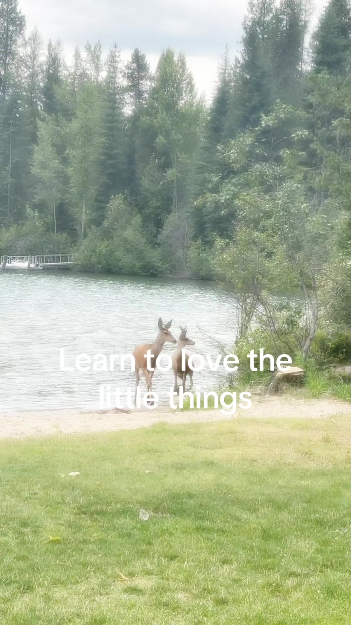 @️