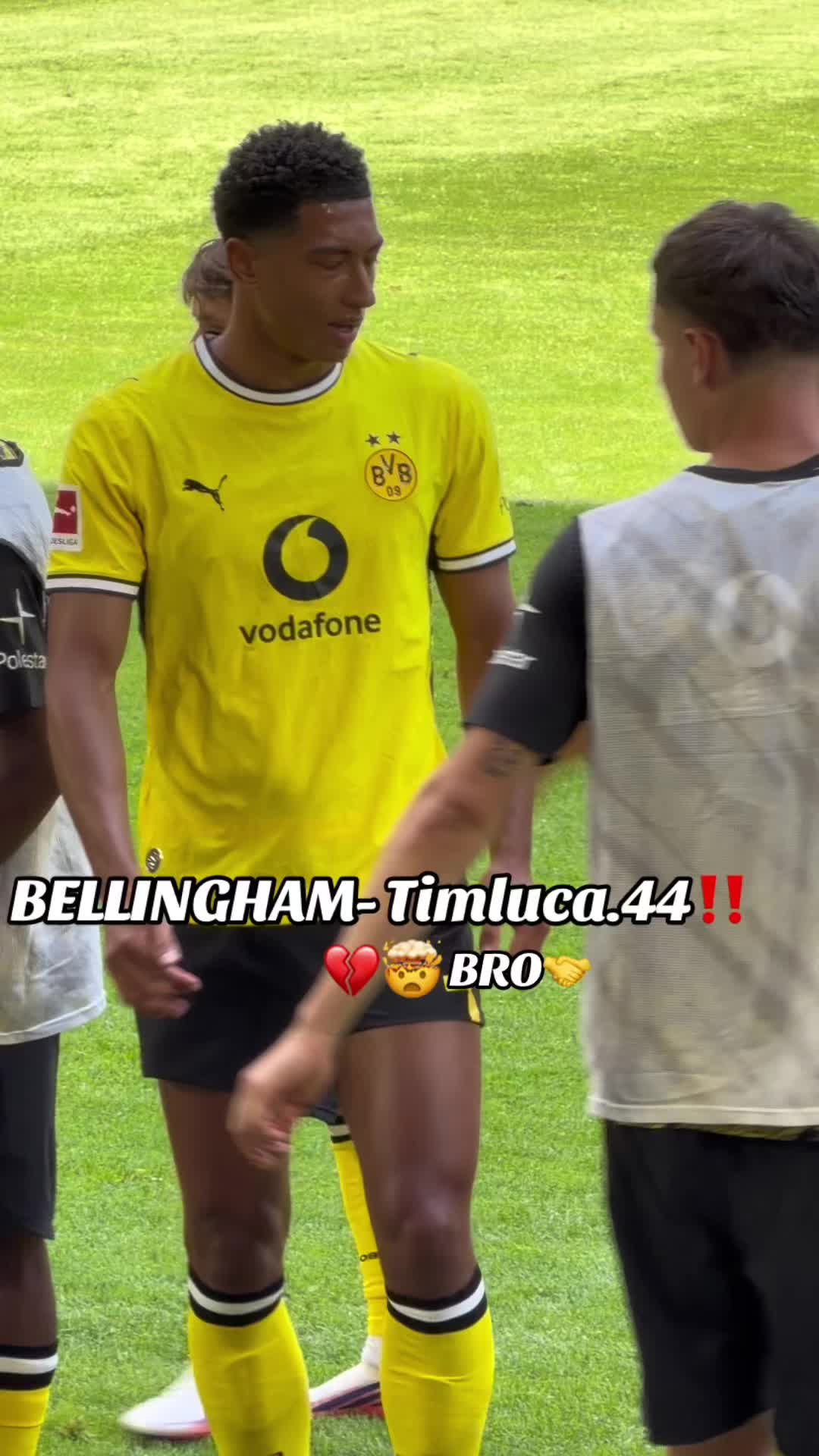 @Timluca44