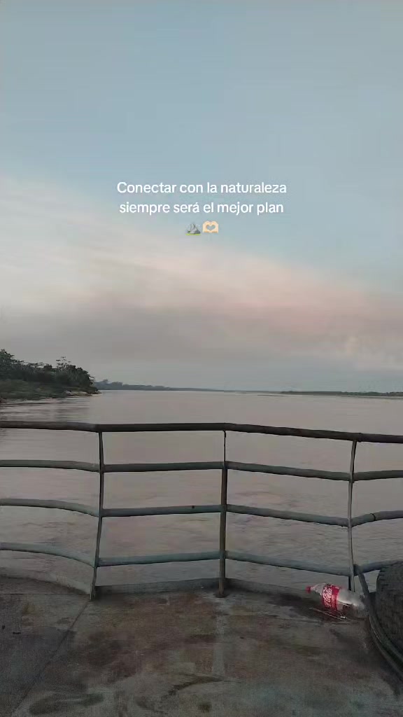 @Violeta