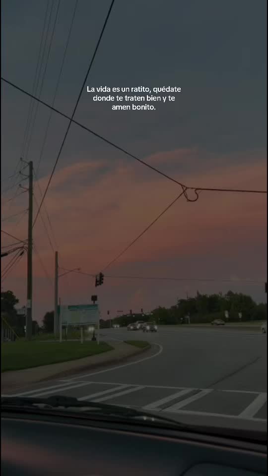 @💗✦ 𝓒𝓱𝓮𝓵𝔂 ✦🎀