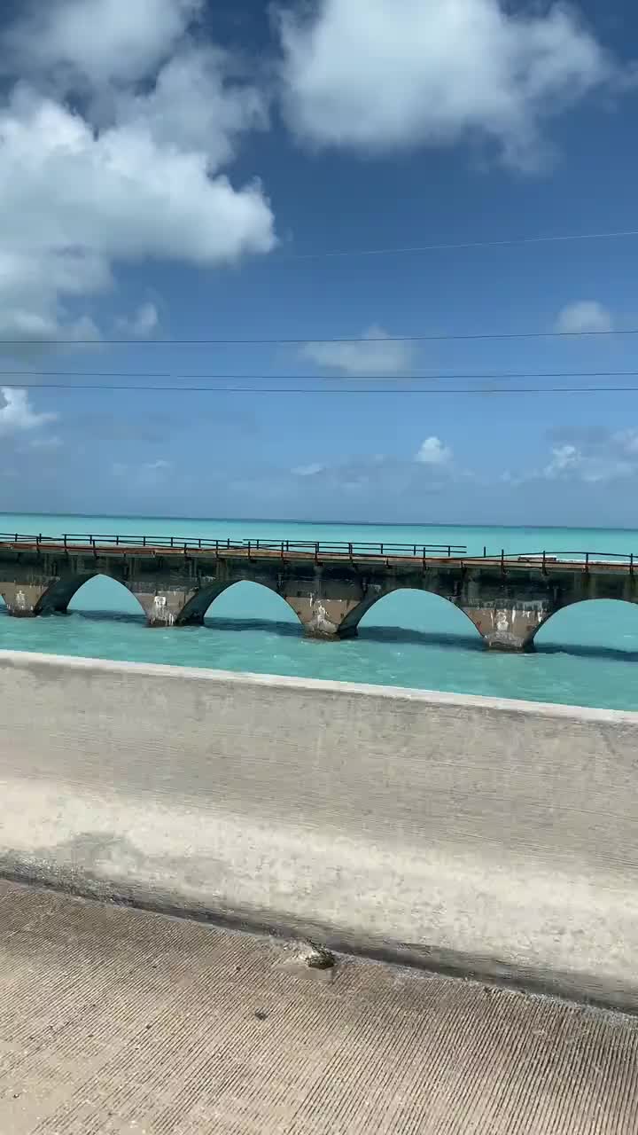 @corinnejoy2448