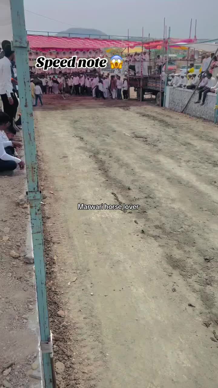 @🏇 MARWARI HORSE RACING 🏇