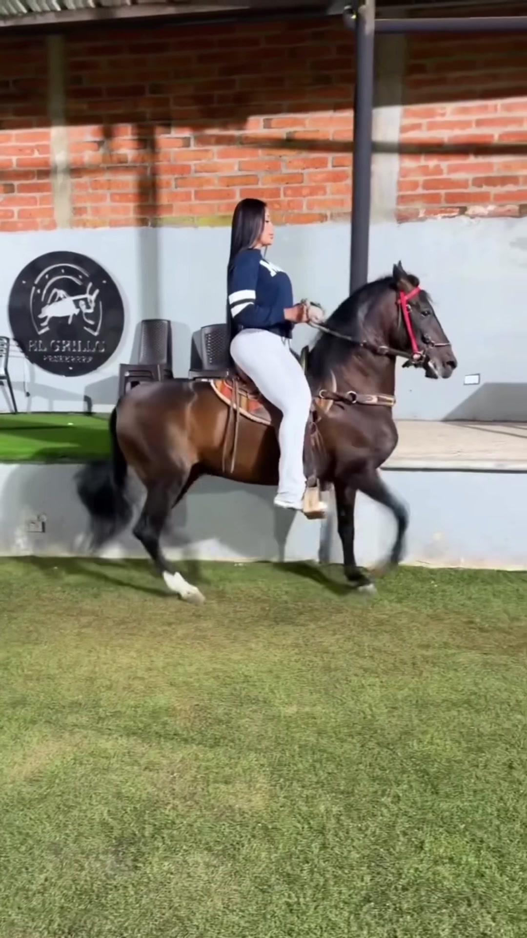 @caballito poni ❤️❤️❤️❤️