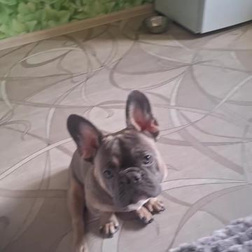 @@kristina.grafova