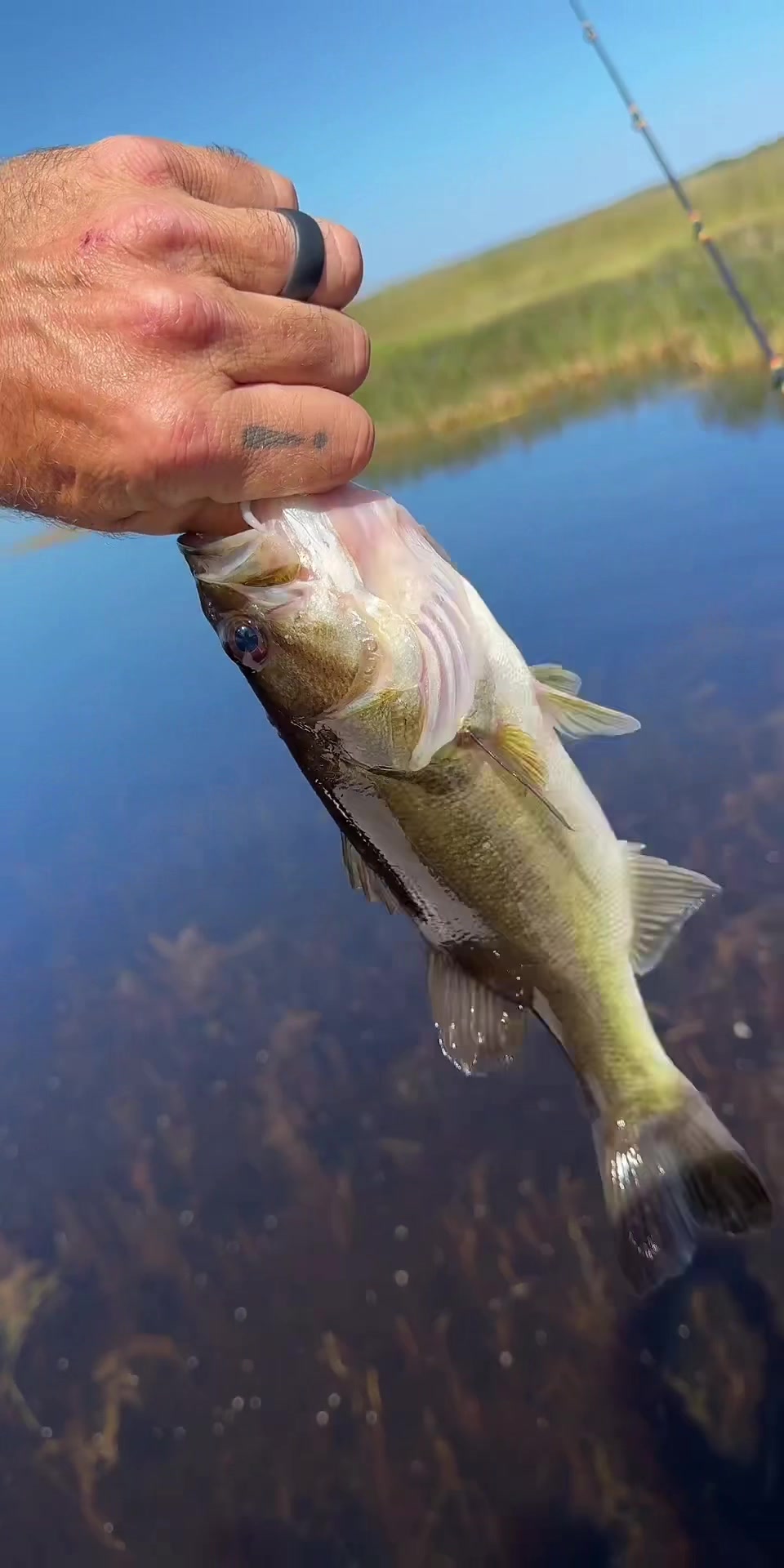 @WellsOntheWater