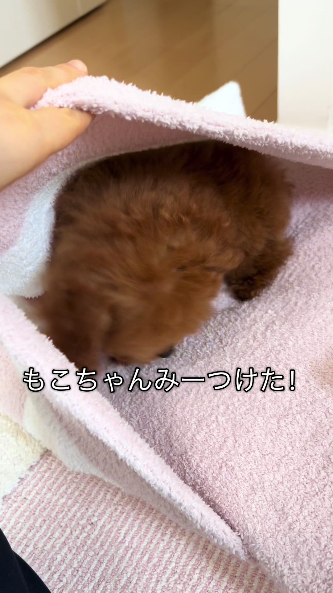 @もこ