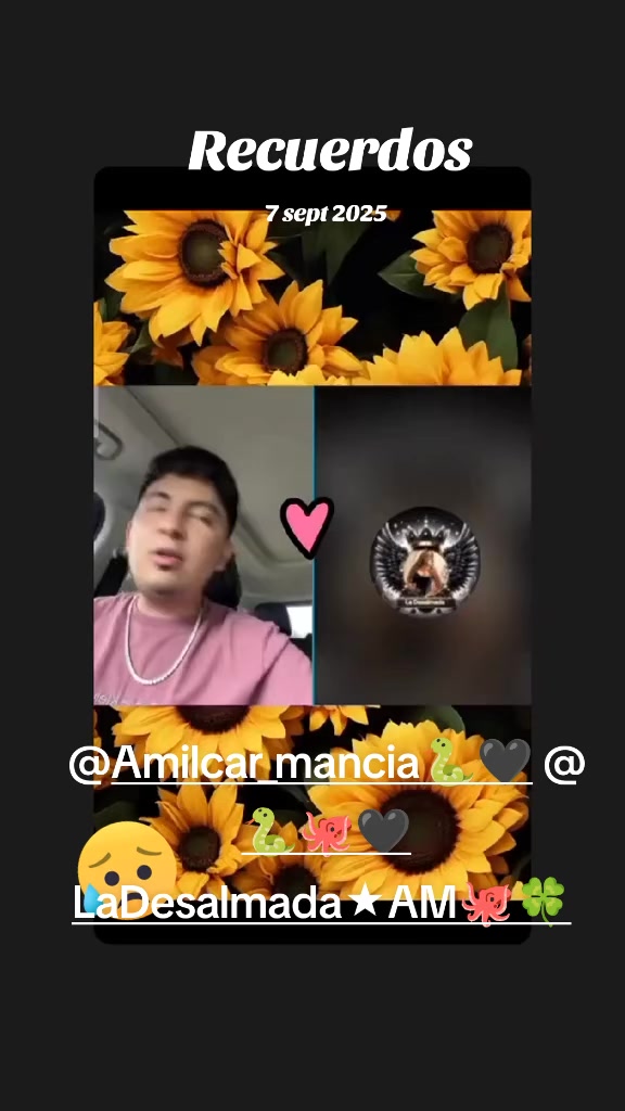 @yuli🌹🐍🖤