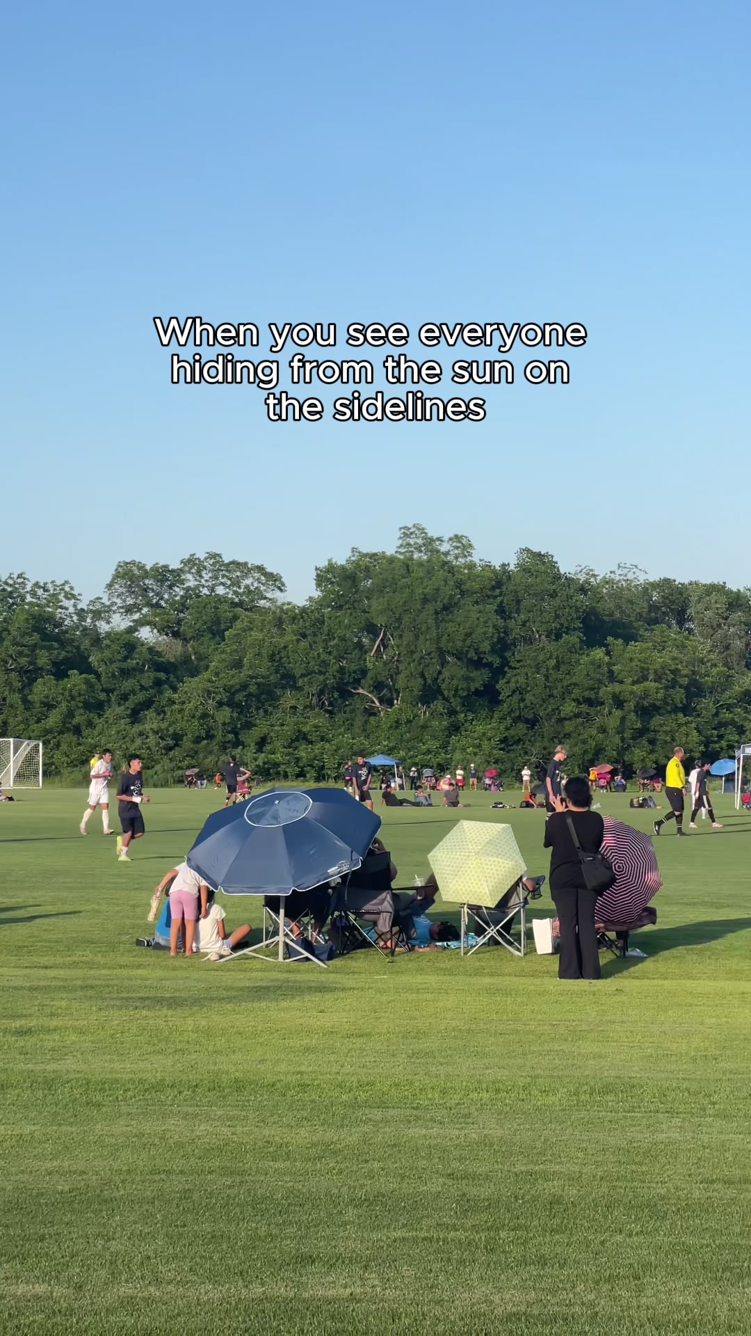 @Bug Beater Chairs