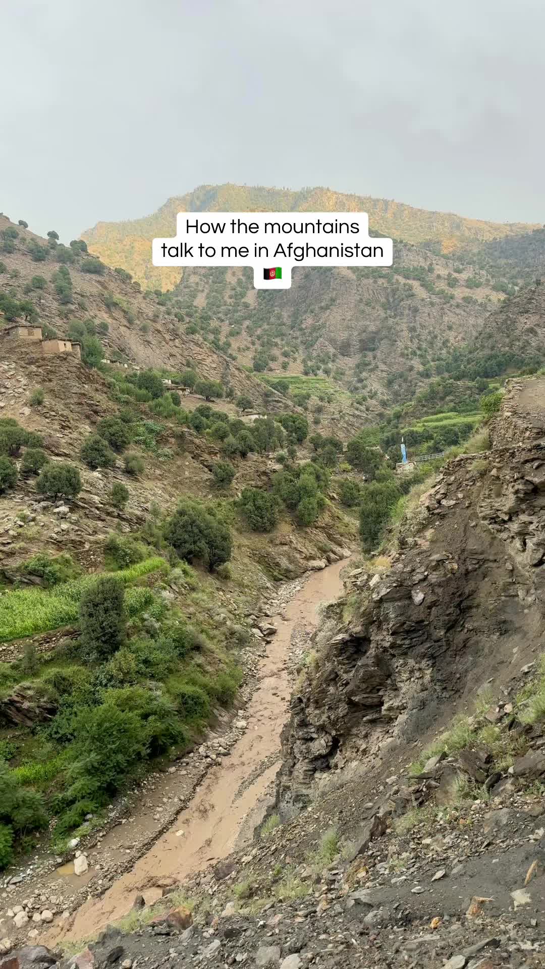 @Pashtun Nomads