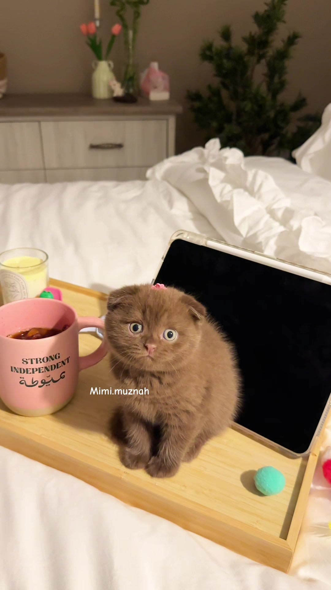 @mimi.muznah