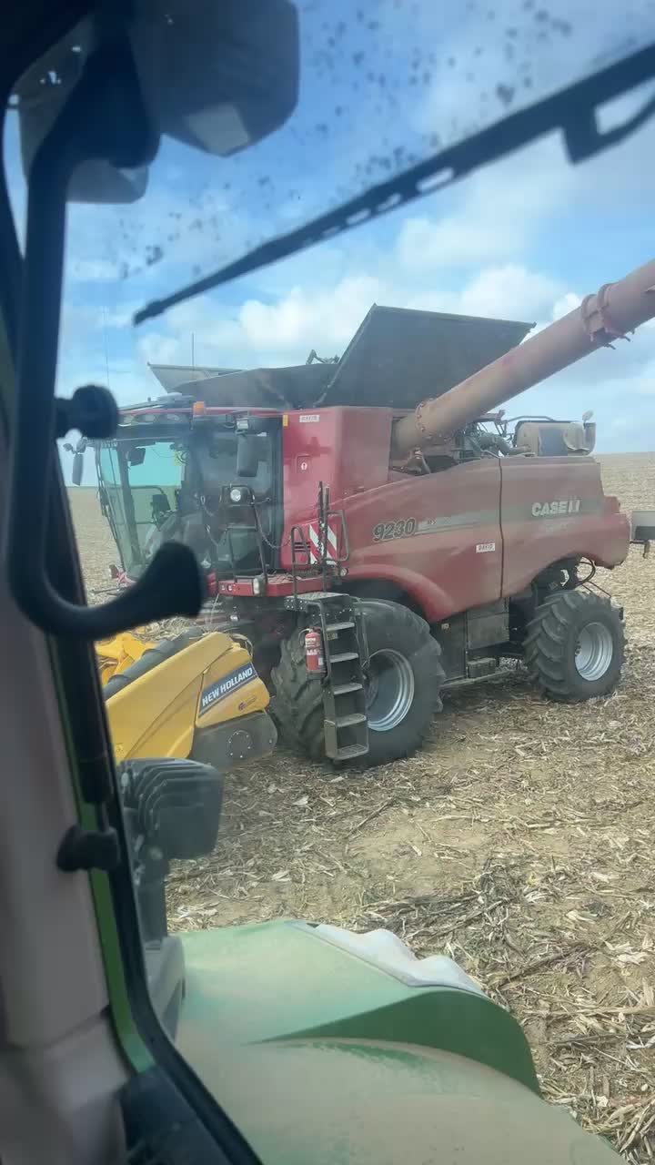 @bryan2302982