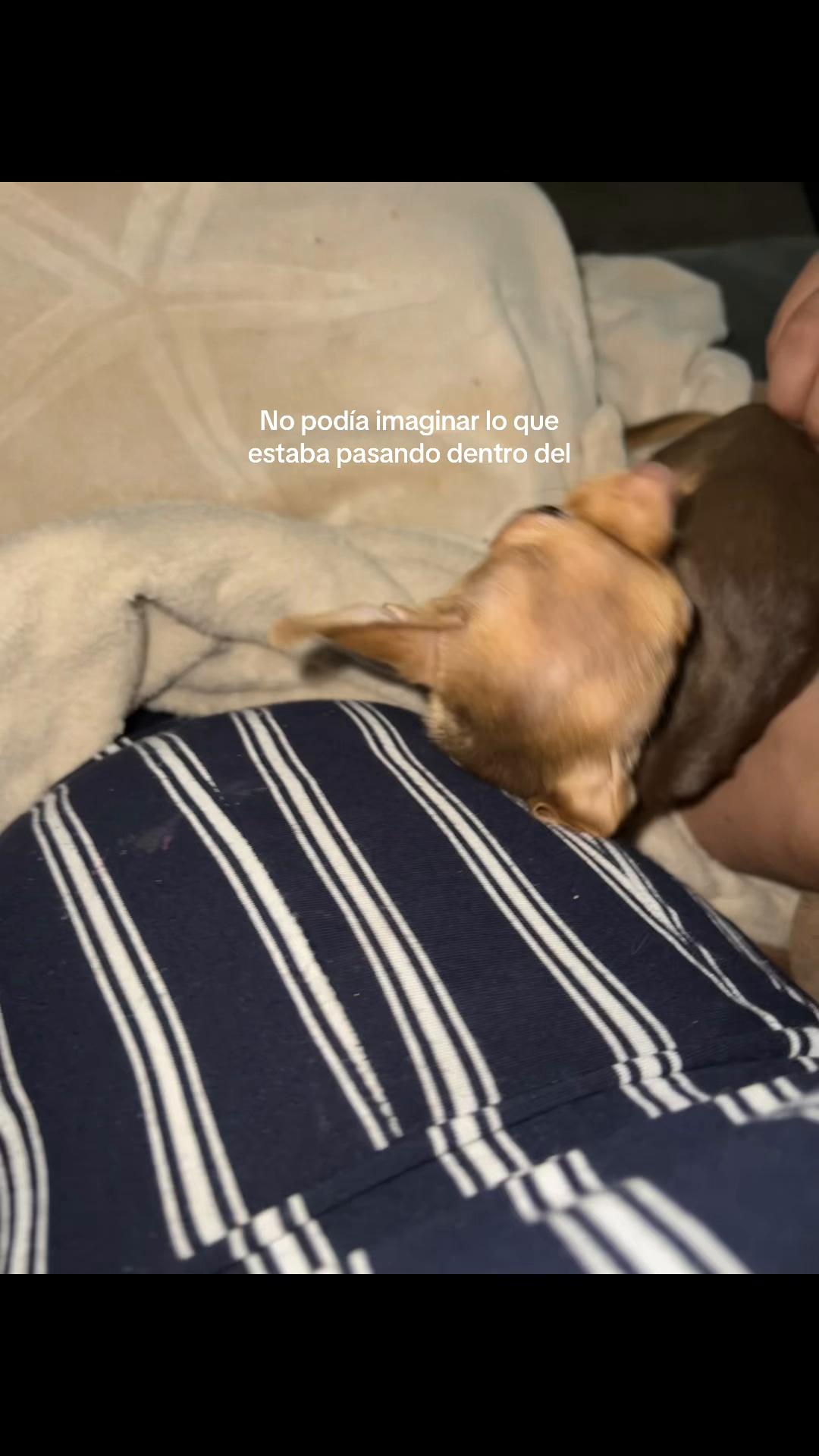 @Irrachell