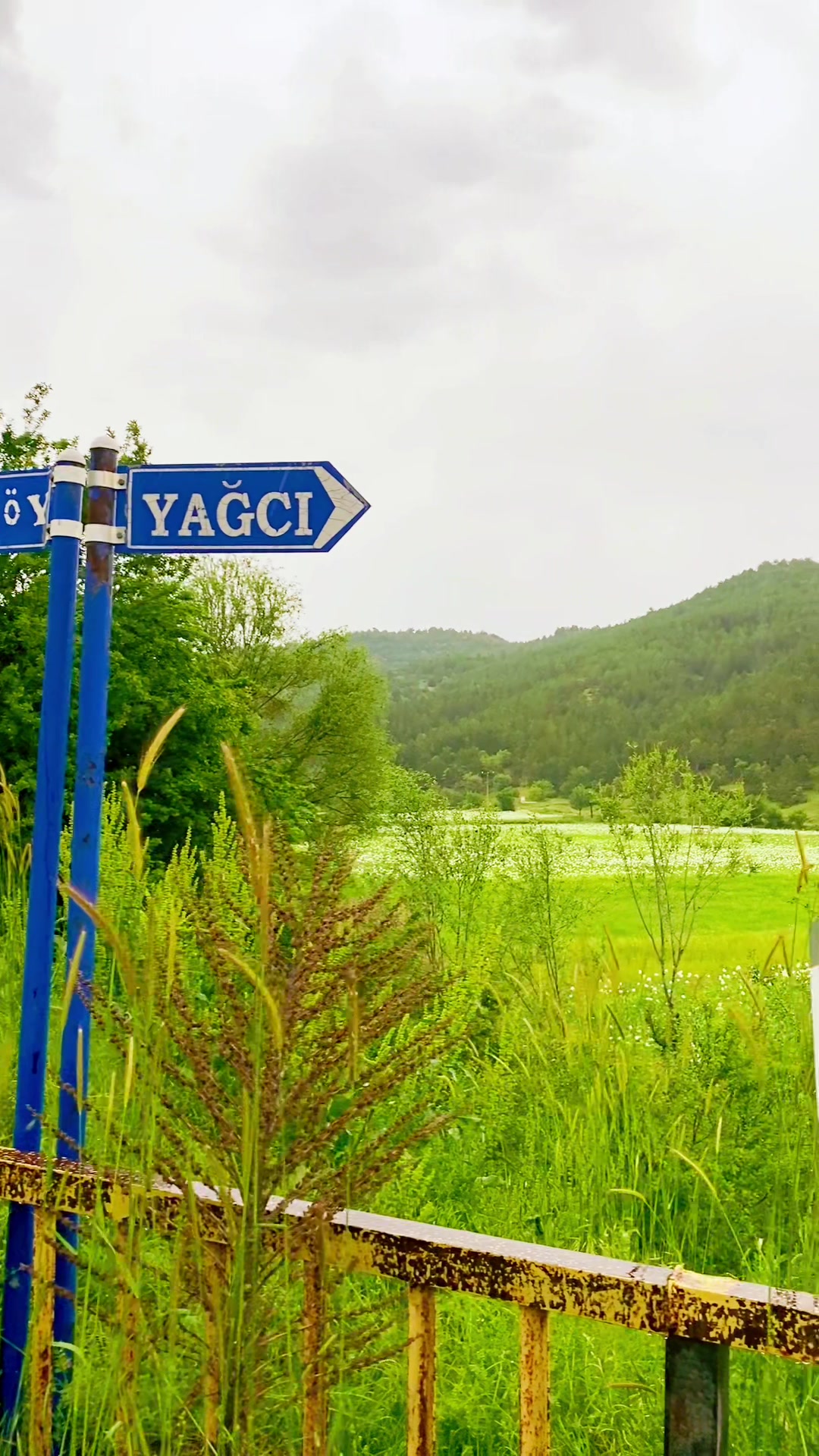 @Zafer Yılmaz