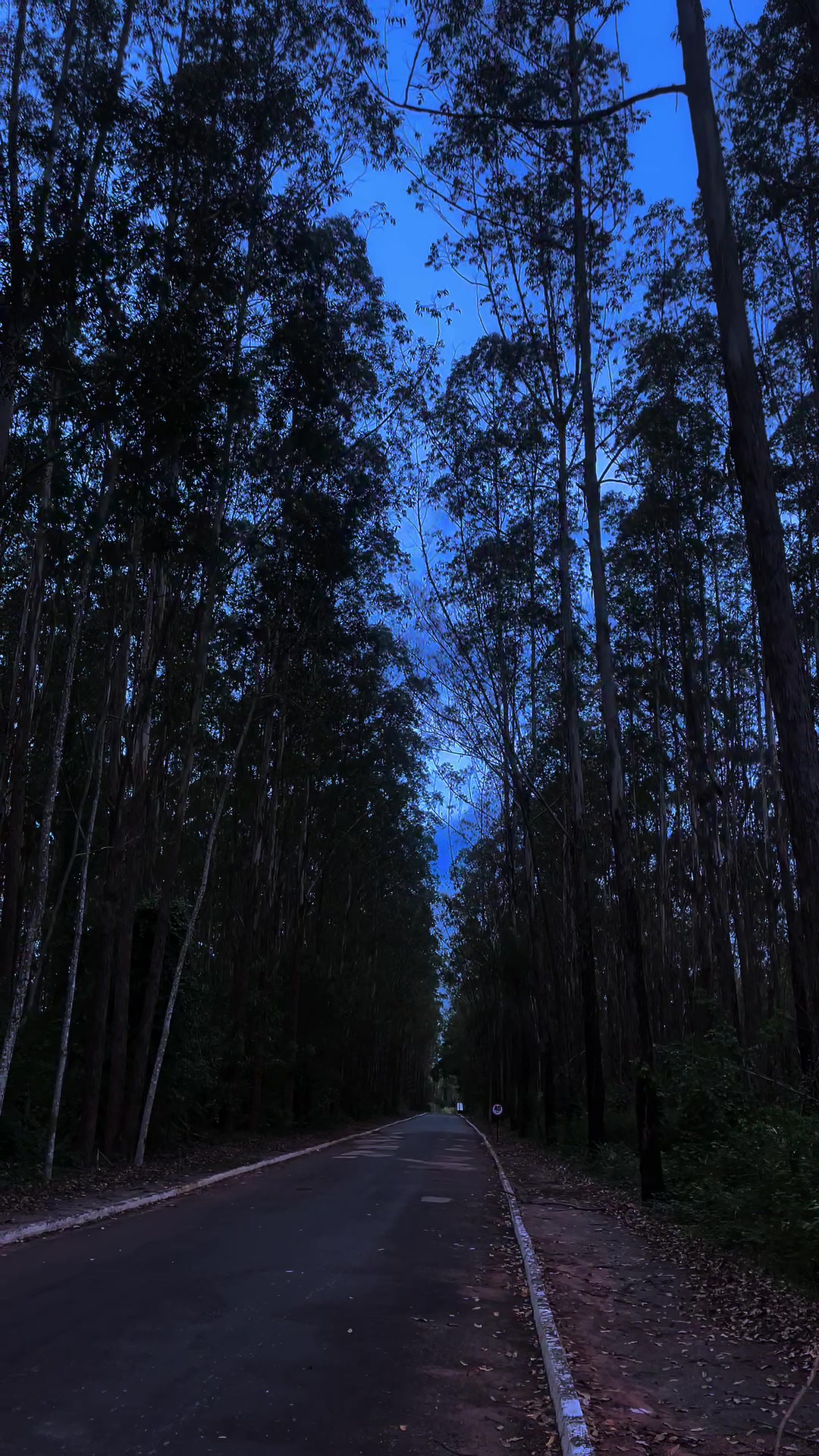 @B♡R