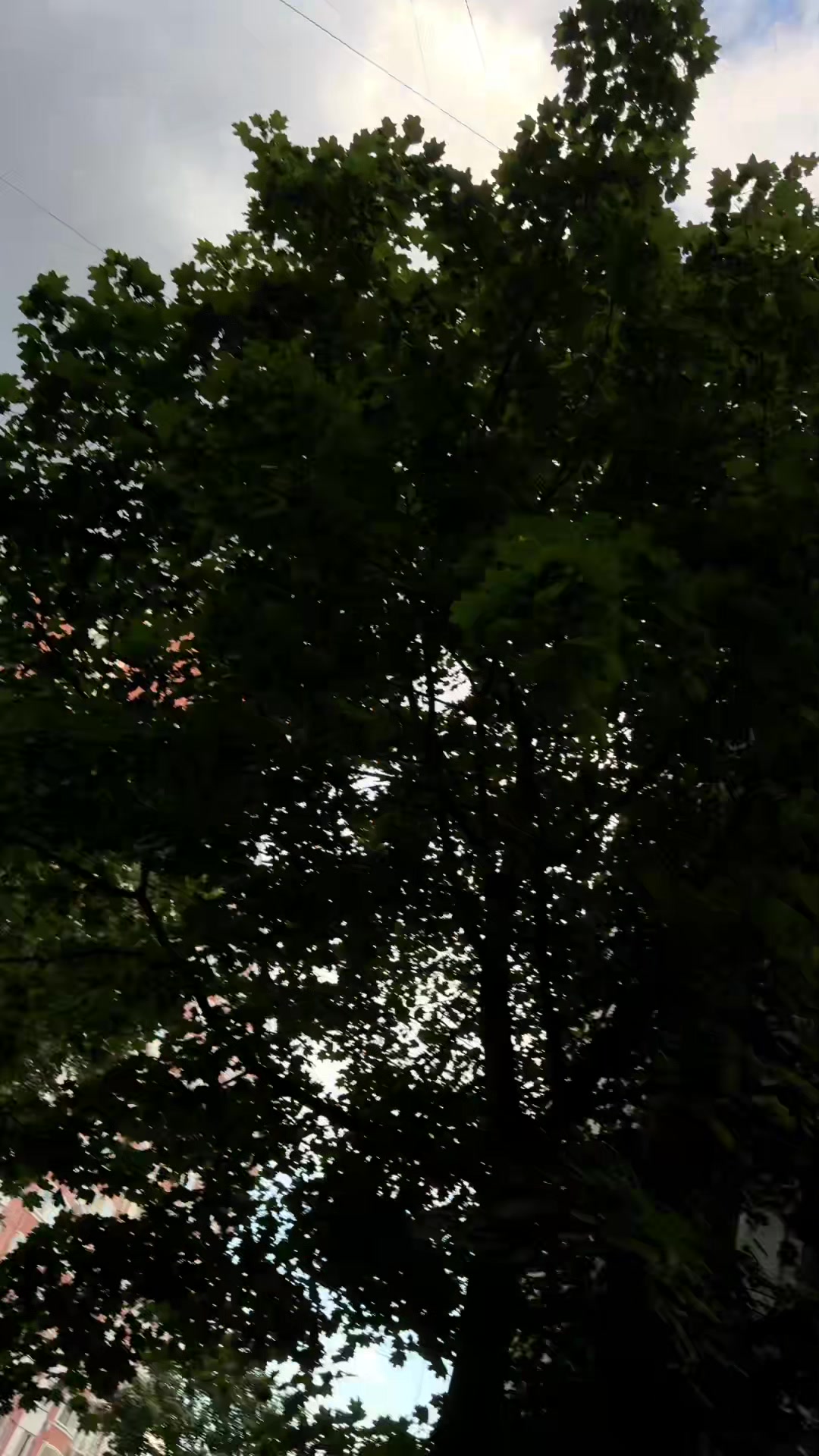 @Лёлька🐈