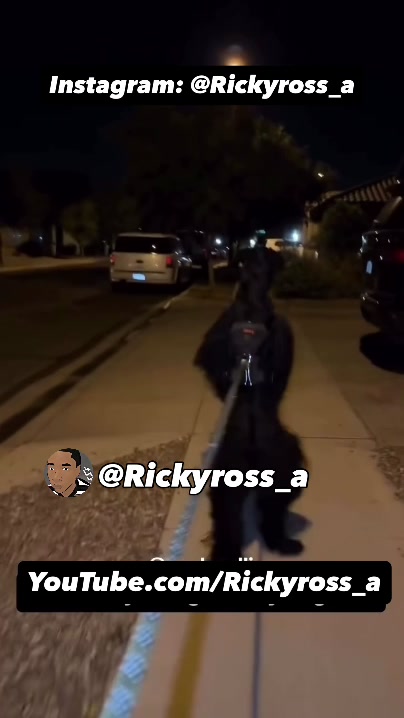 @Rickyross_a