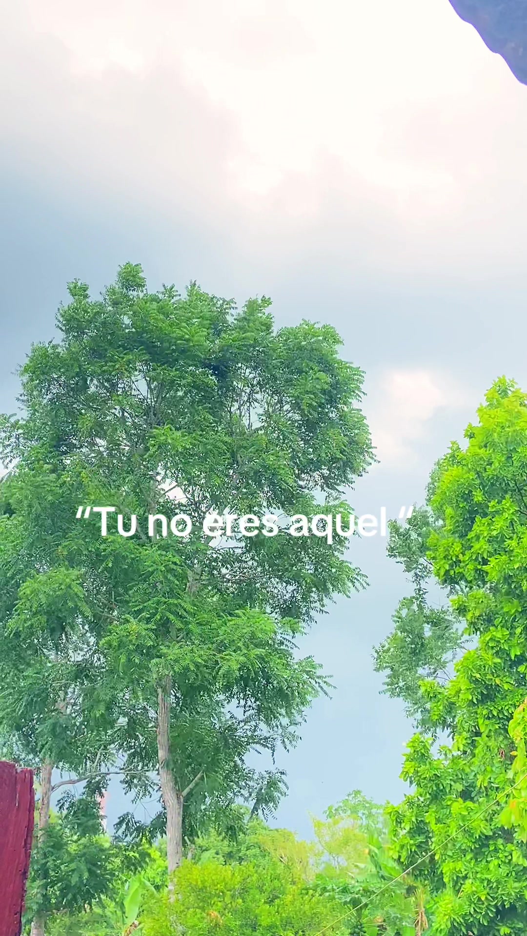 @🫦porte&ntilde;a:🫦💘