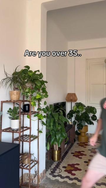 @markthesparker