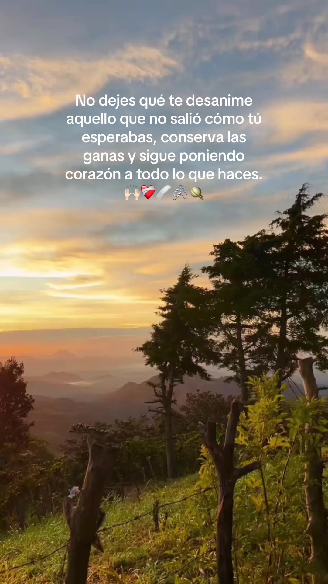 @Danilito ✨