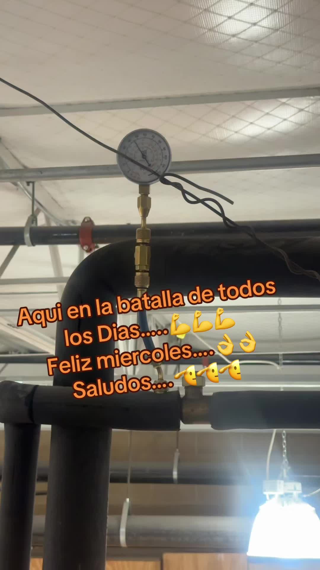 @Ozzy
