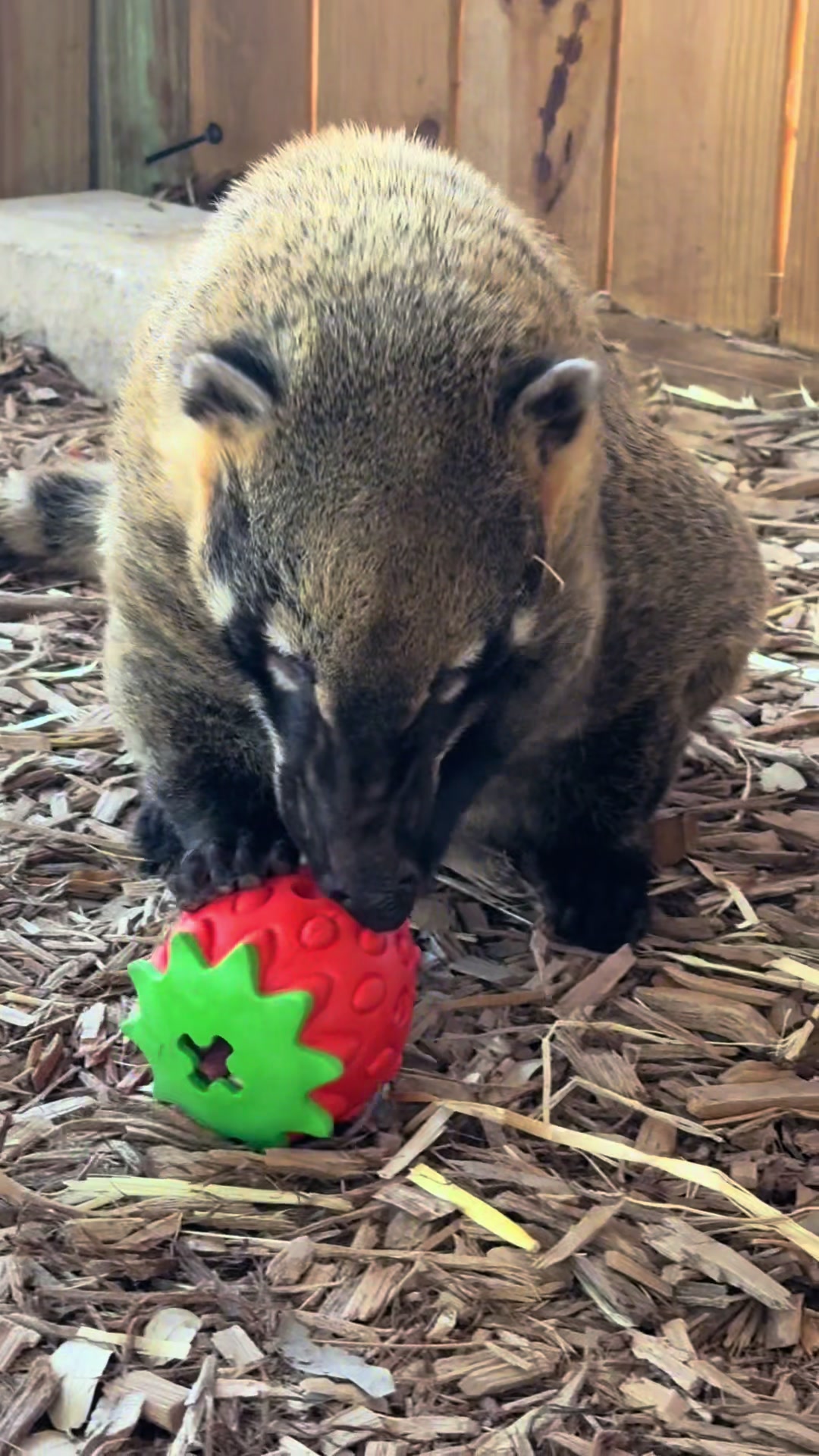 @Texas Wildlife Park