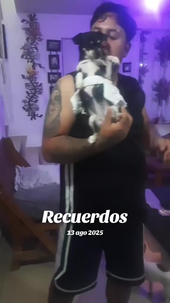 @luiselpollo95