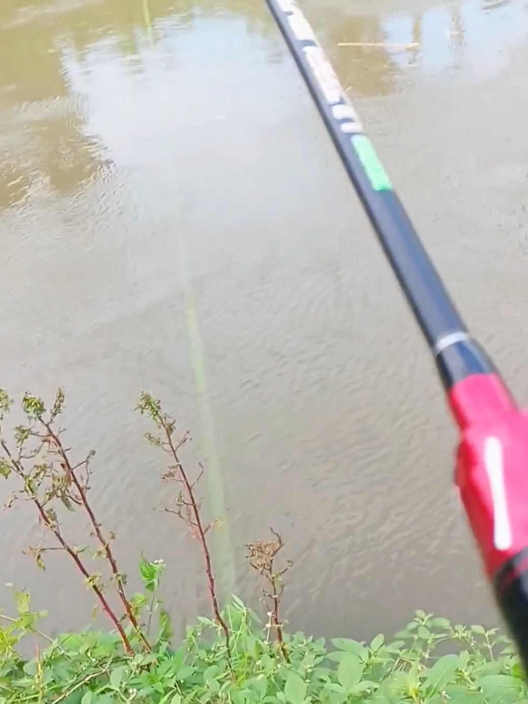 @TIE Fishing