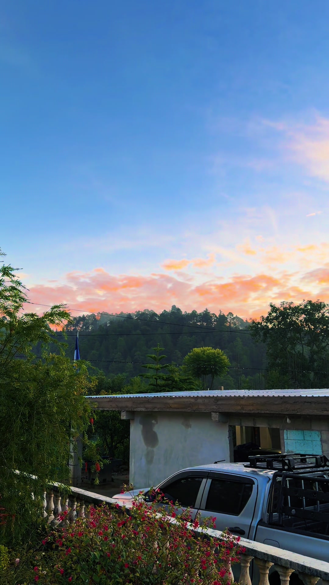 @Armando-Itzep🇬🇹