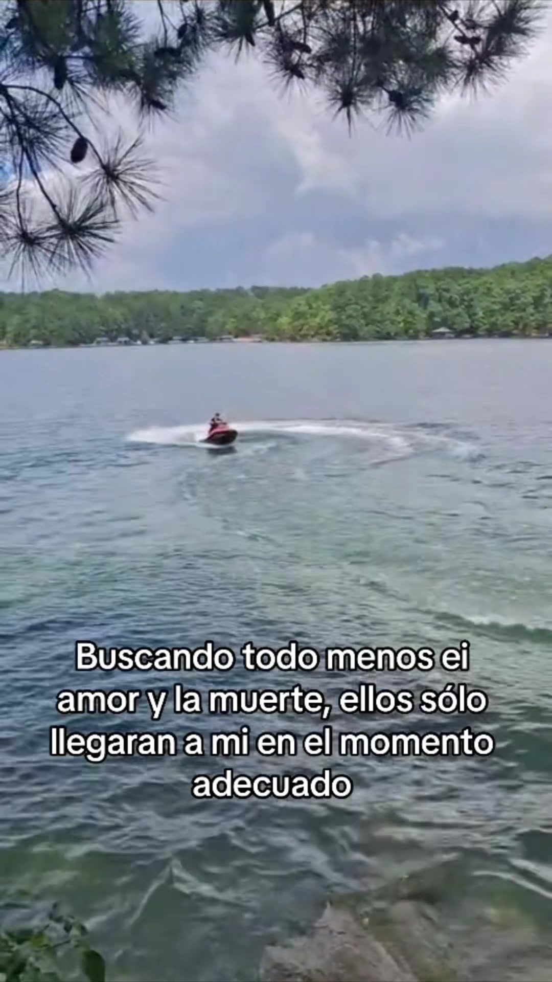 @Adelmo Lopez 🇭🇳🇭🇳🇭🇳