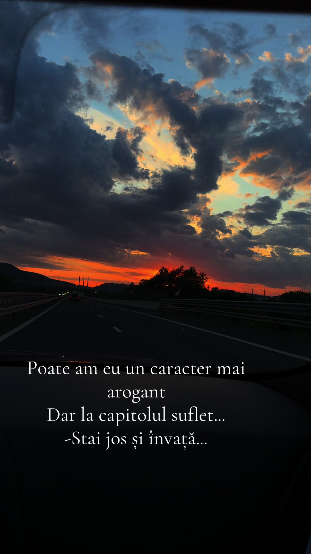 @Ingrid Șerban
