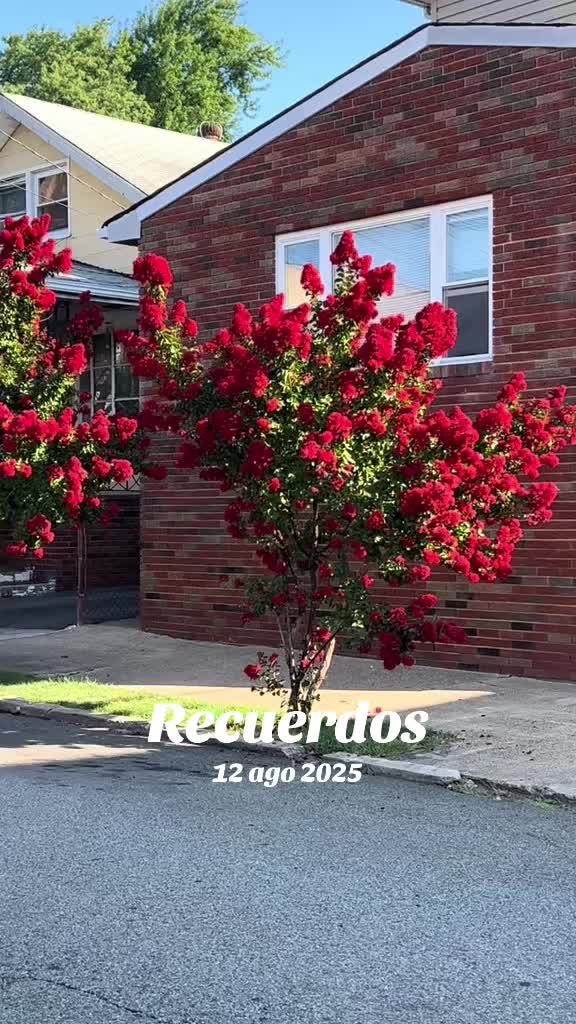 @Maria NJ7👸💐💐🌹💐💐