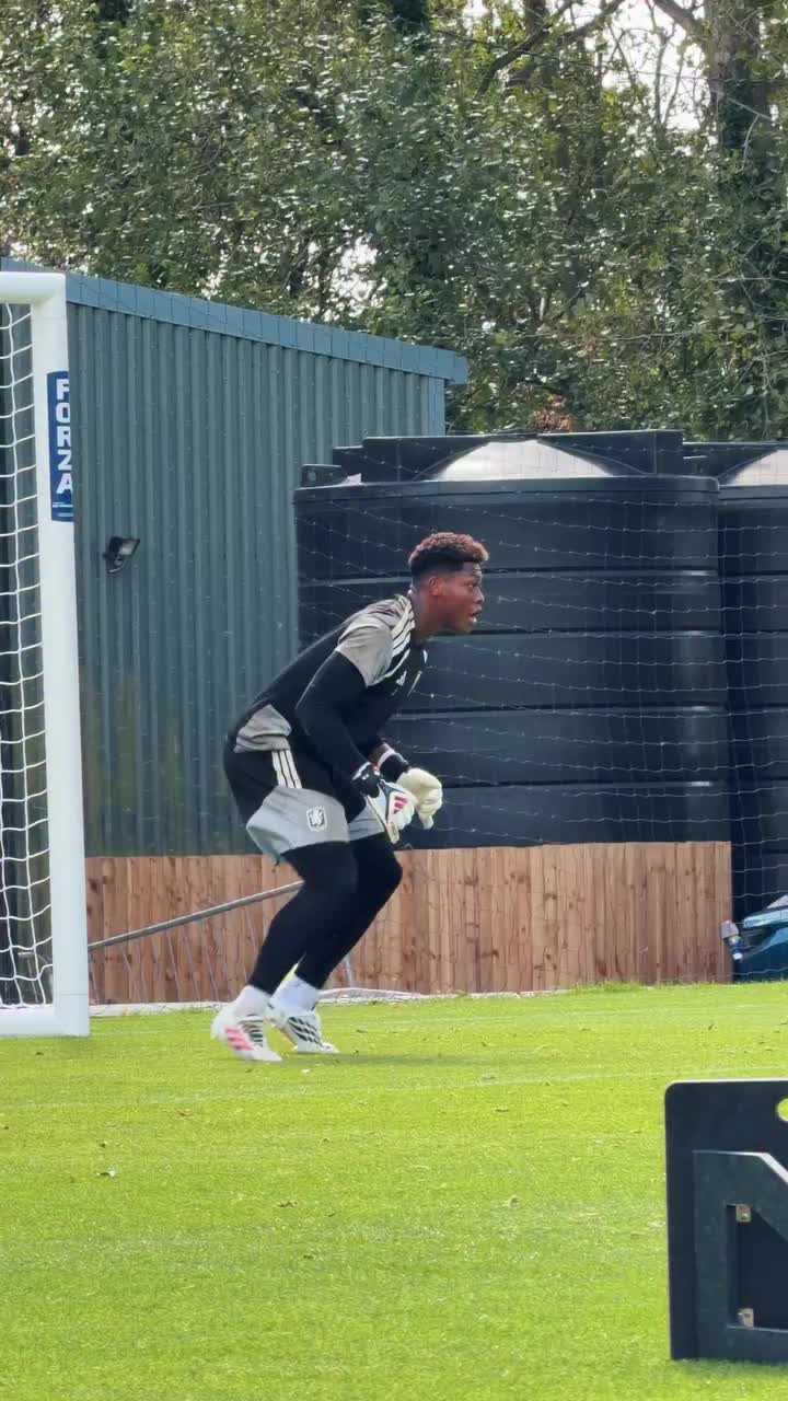 @Goalkeeping Development