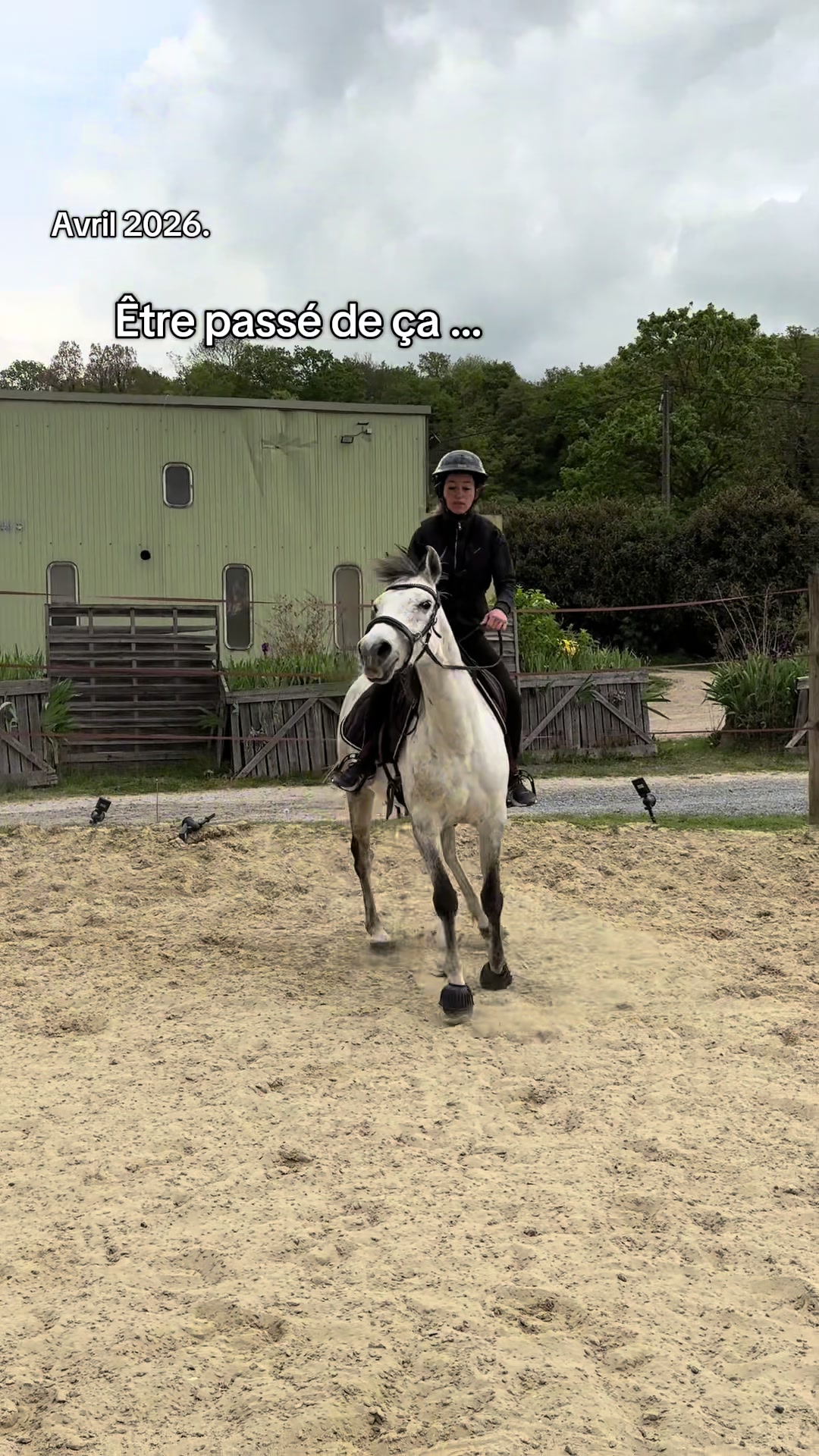 @Réflexions Equestres