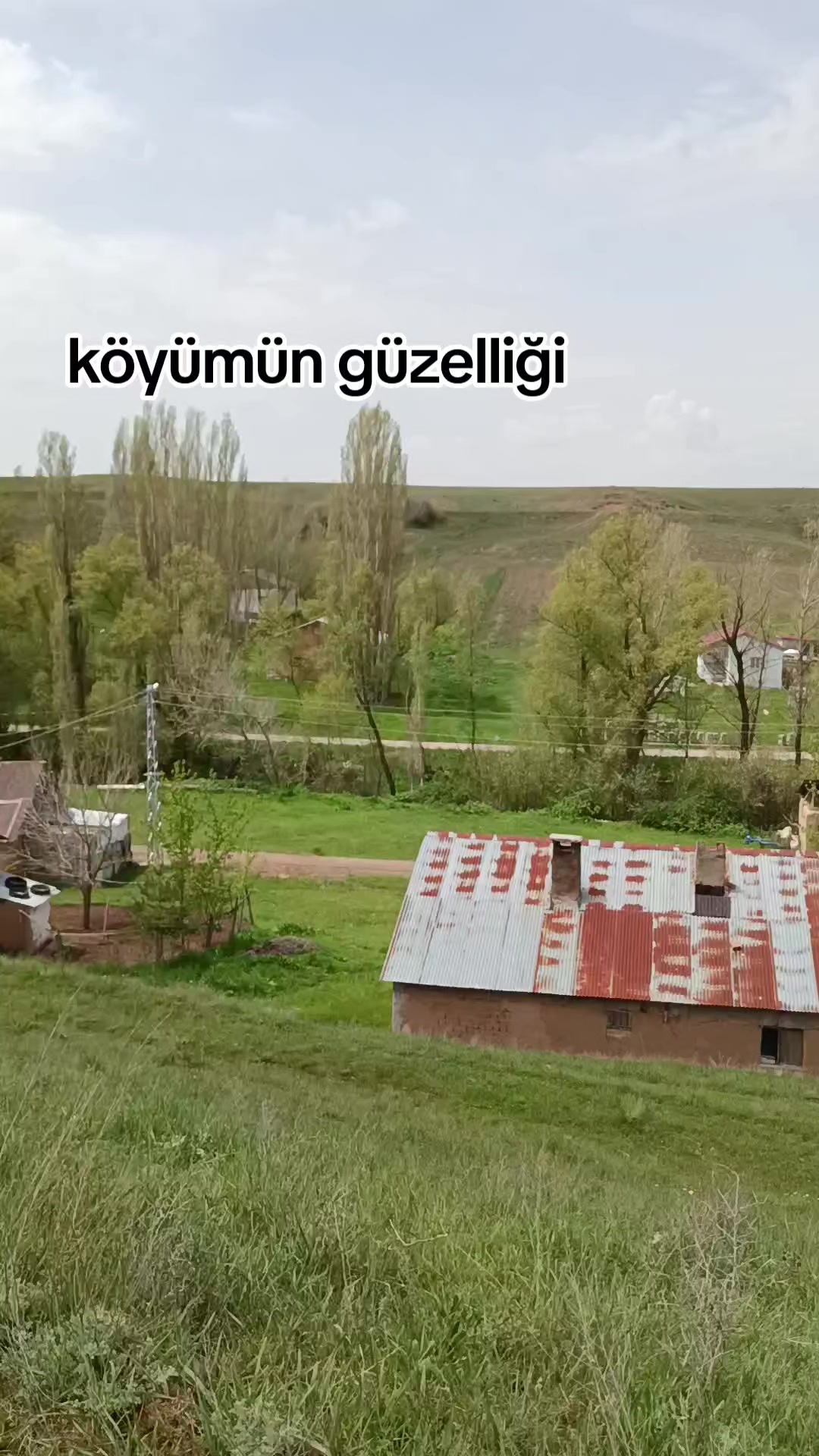@🌹Sivas 🌹gülü 🌹
