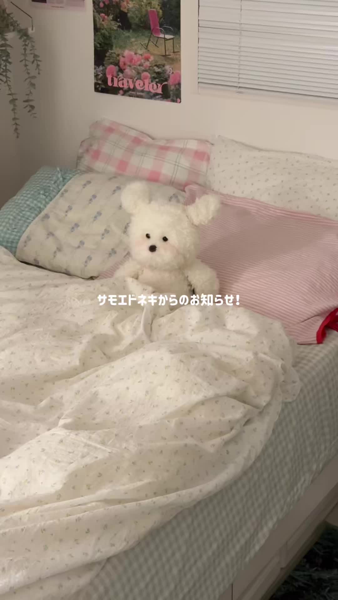@サモエドネキのお部屋