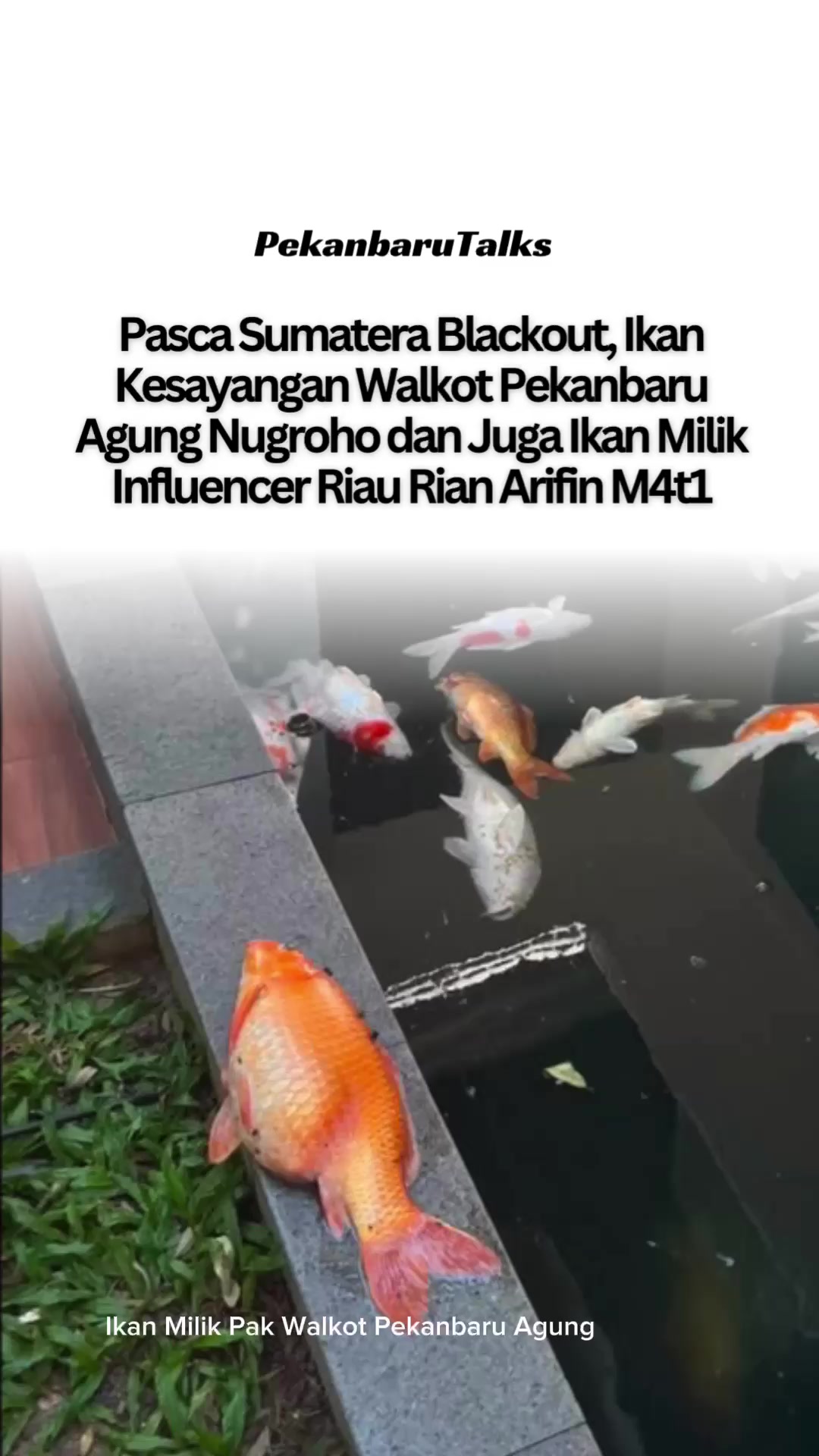 @PekanbaruTalks