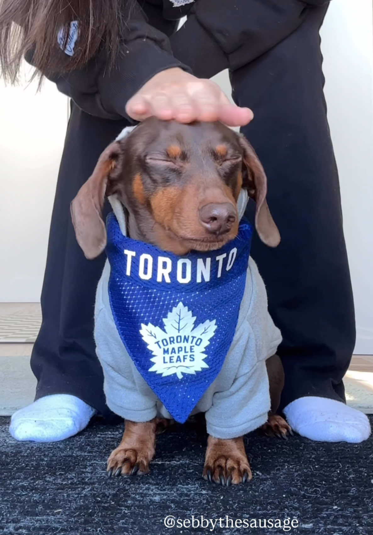 @sebbythesausage