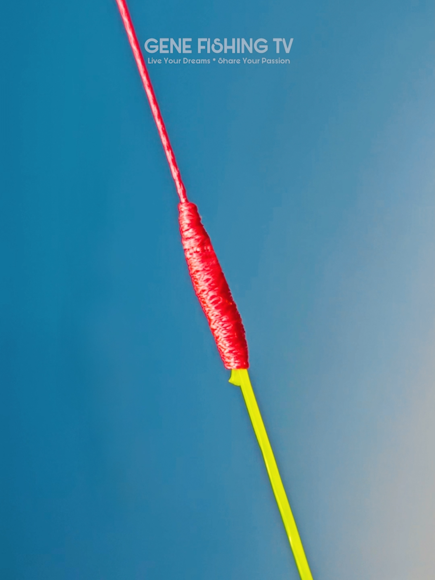 @Gene Fishing Tv