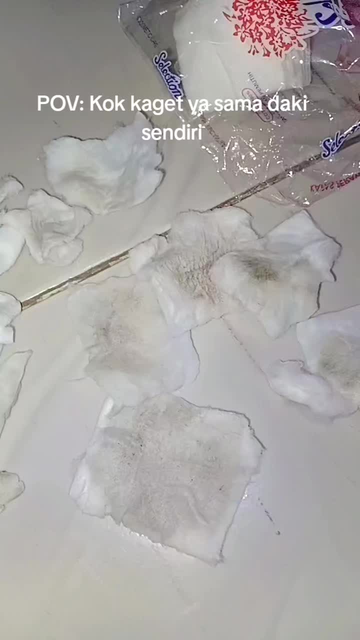 @Aini Nani